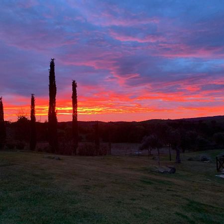 Вилла Bio Agriturismo La Bell'Antiglia Монтемерано Экстерьер фото